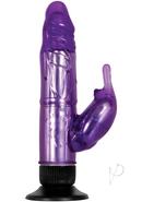 Aande Eves Hands Free Shower Bunny Purple